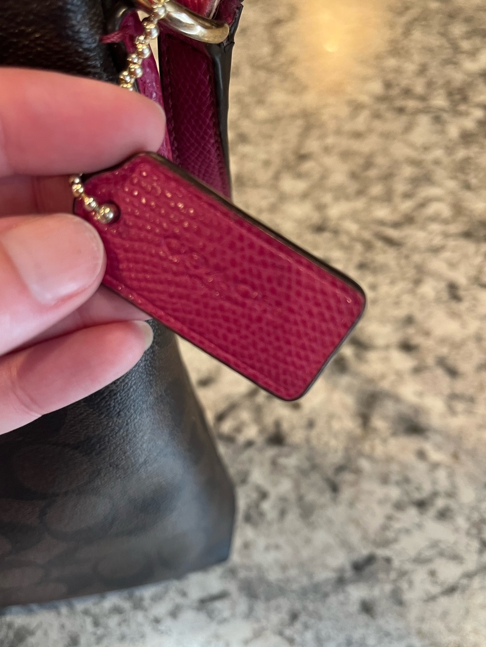 Coach Signature File Crossbody Bag - Picture 4 of 16